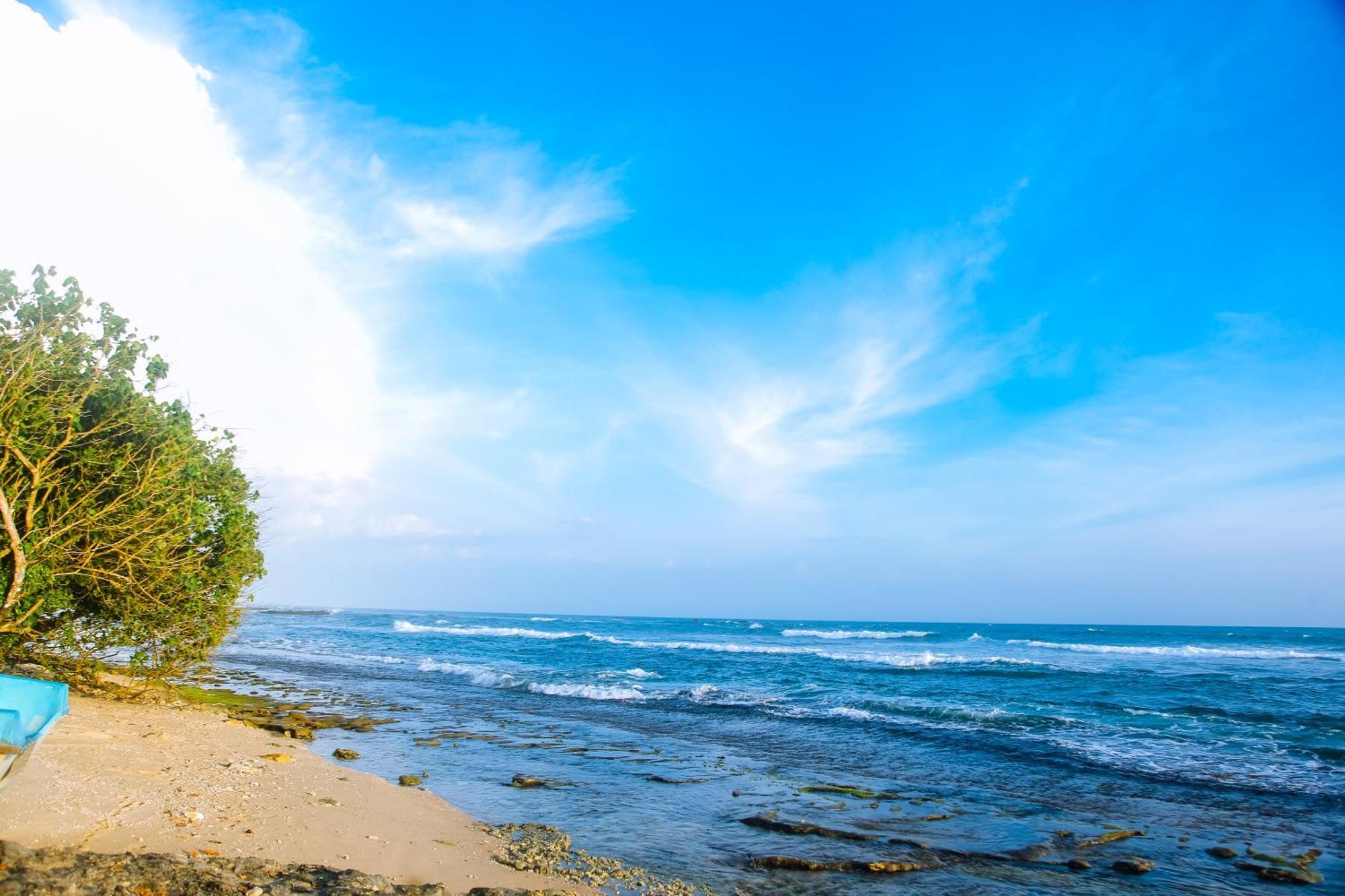 Отель Mirissa Turtle Point Guest Экстерьер фото