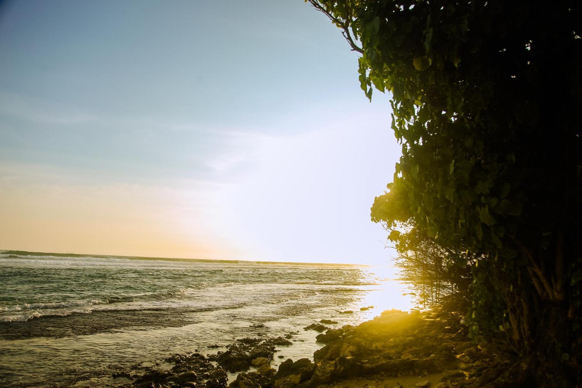 Отель Mirissa Turtle Point Guest Экстерьер фото