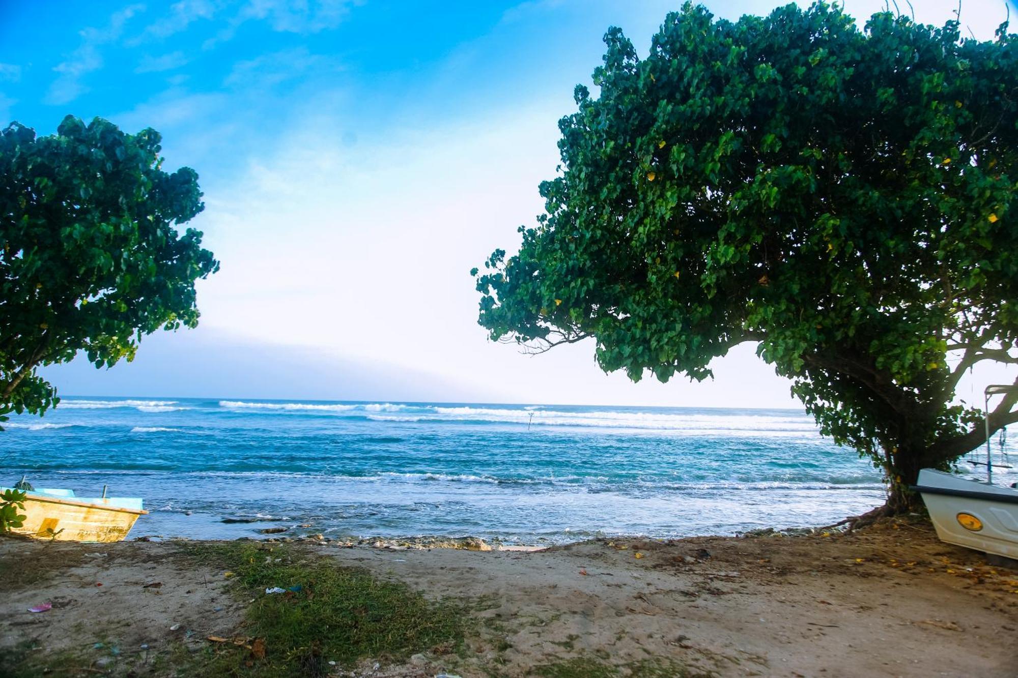Отель Mirissa Turtle Point Guest Экстерьер фото